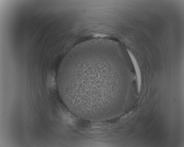 X0000082990963200702081830