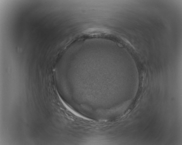 X0000082990965200702081830