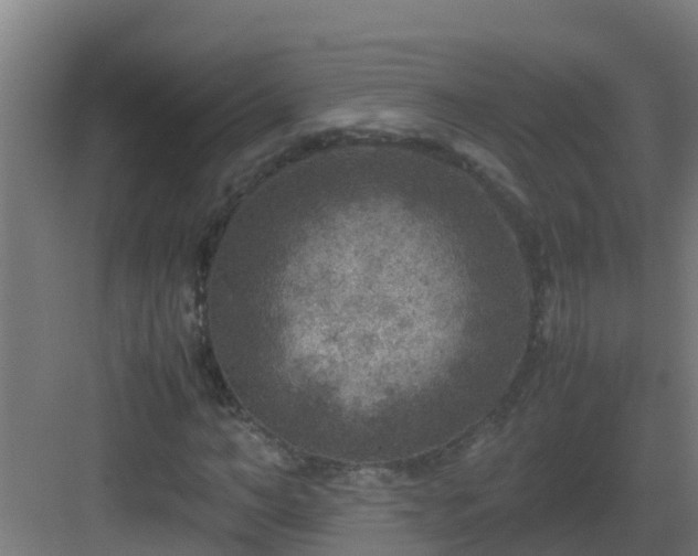 X0000082990966200702081830