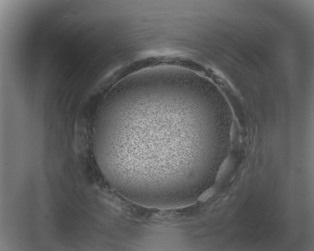 X0000082990967200702081830