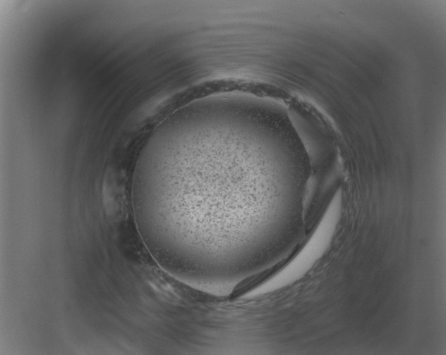 X0000082990968200702081830