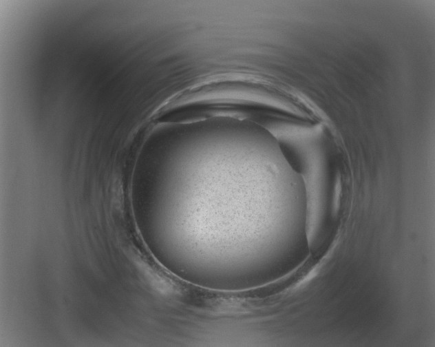 X0000082990969200702081830