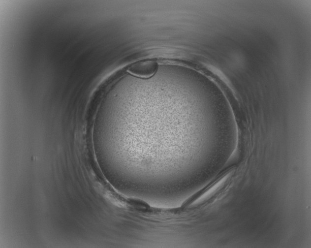 X0000082990971200702081830