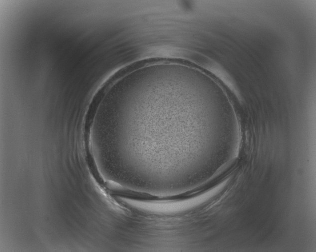 X0000082990972200702081830