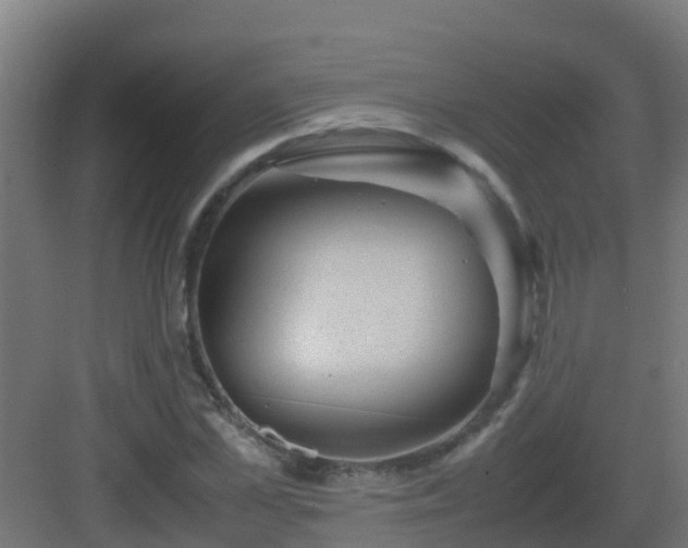 X0000082990973200702081830