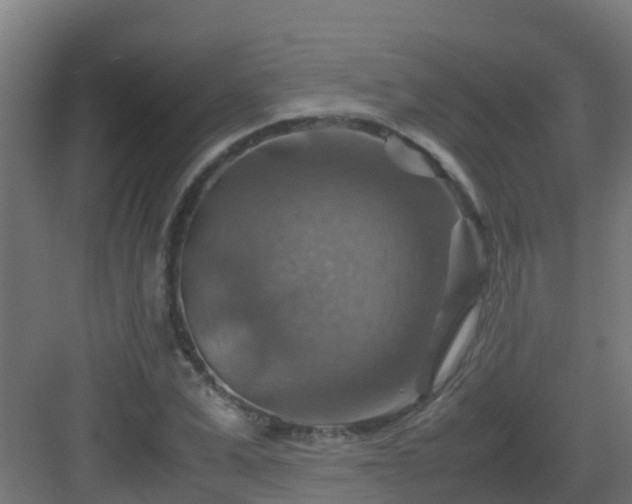 X0000082990975200702081830