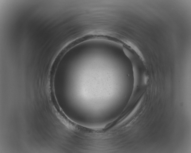 X0000082990976200702081830