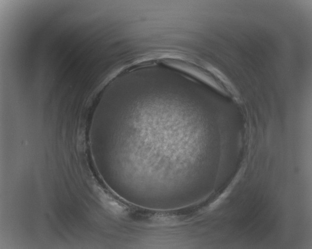 X0000082990977200702081830