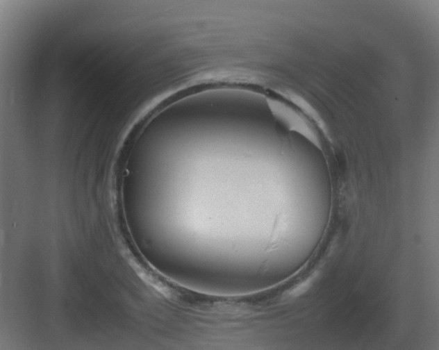 X0000082990981200702081830