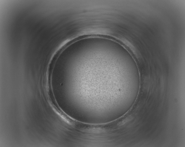 X0000082990982200702081830