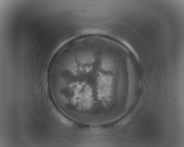 X0000082990983200702081830