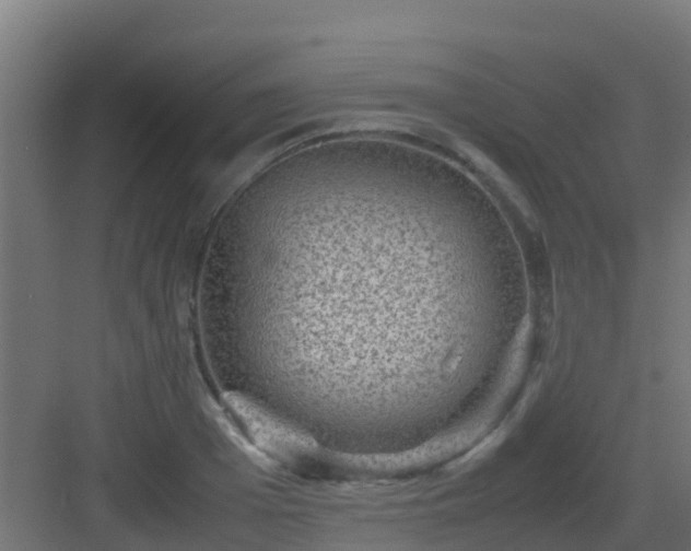 X0000082990985200702081830