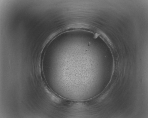 X0000082990986200702081830