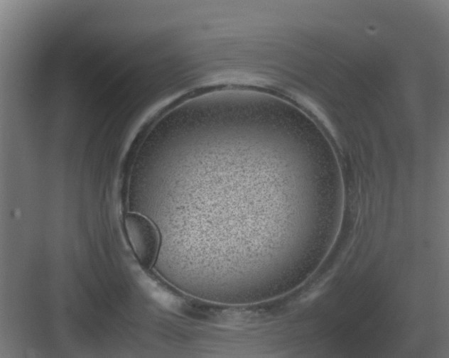 X0000082990987200702081830