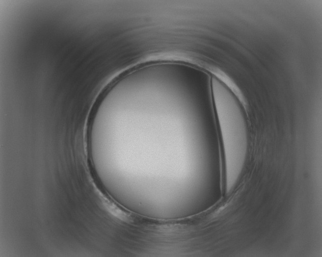 X0000082990988200702081830