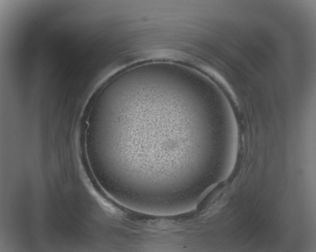 X0000082990991200702081829