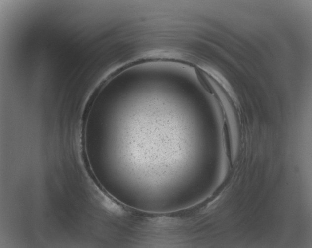 X0000082990992200702081829