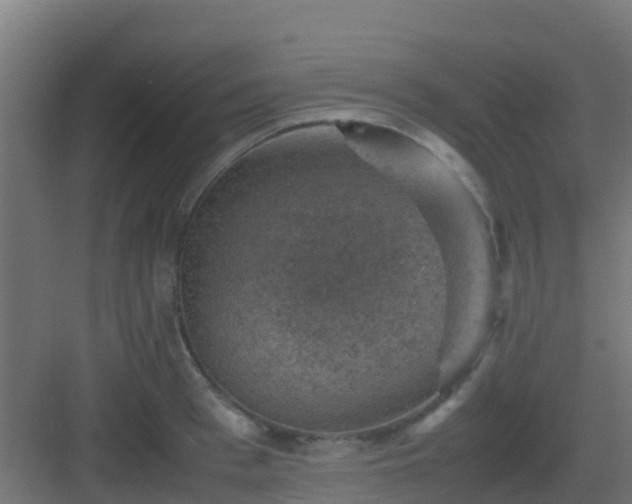 X0000082990993200702081829