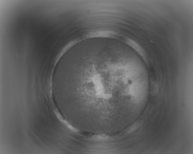 X0000082990994200702081829