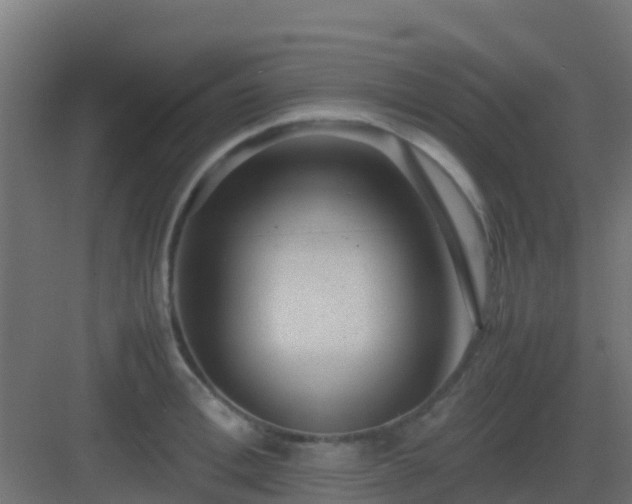 X0000082990996200702081829