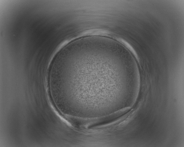 X0000082990997200702081829