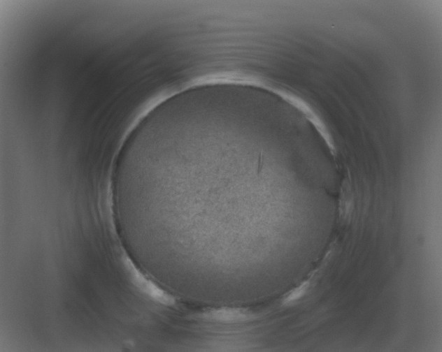 X0000082990998200702081829