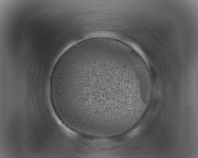 X0000082990999200702081829