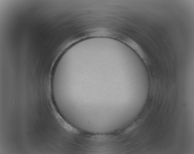 X0000082991000200702081829