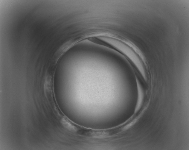 X0000082991001200702081829