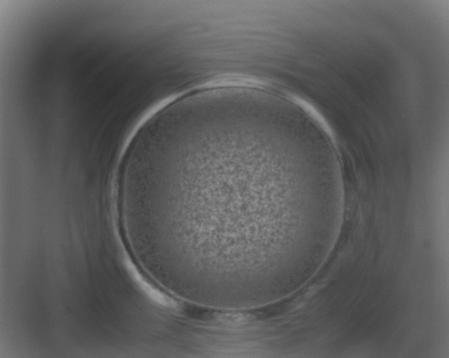 X0000082991003200702081829