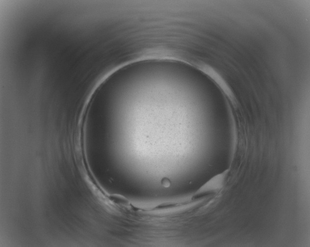 X0000082991004200702081829