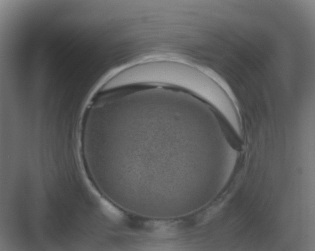 X0000082991005200702081829