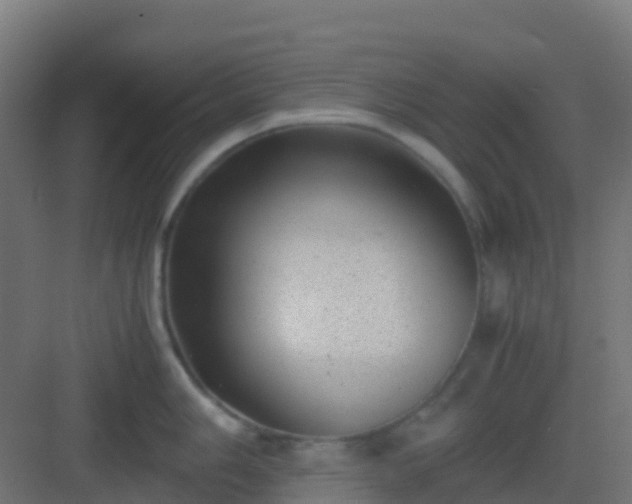 X0000082991006200702081829