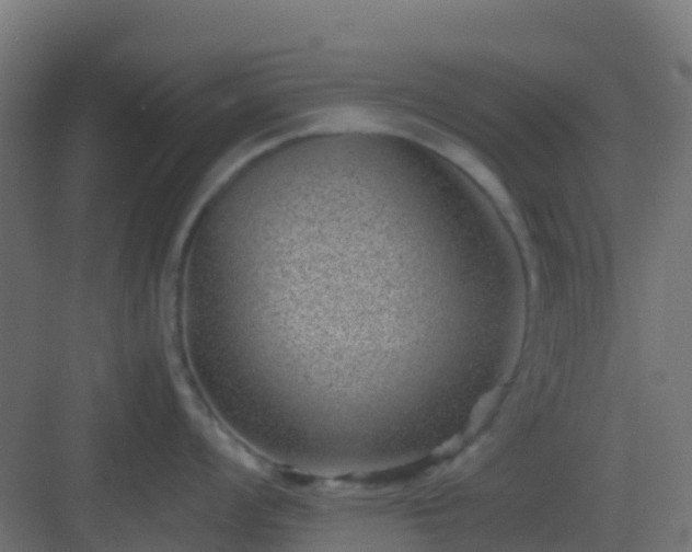 X0000082991008200702081829