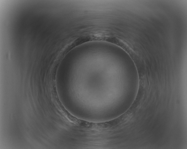 X0000082991009200702081828