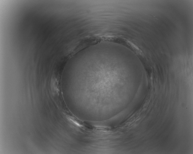 X0000082991010200702081828