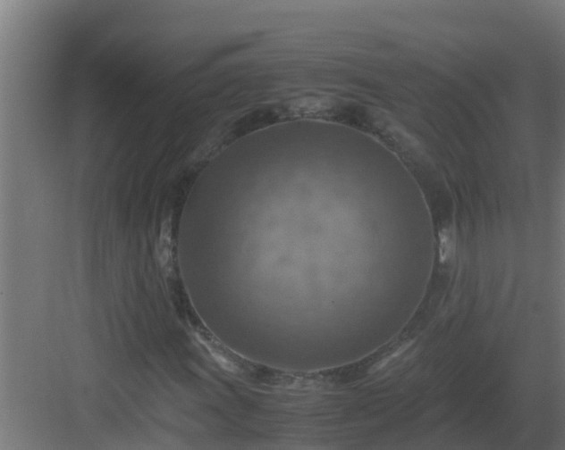 X0000082991011200702081828