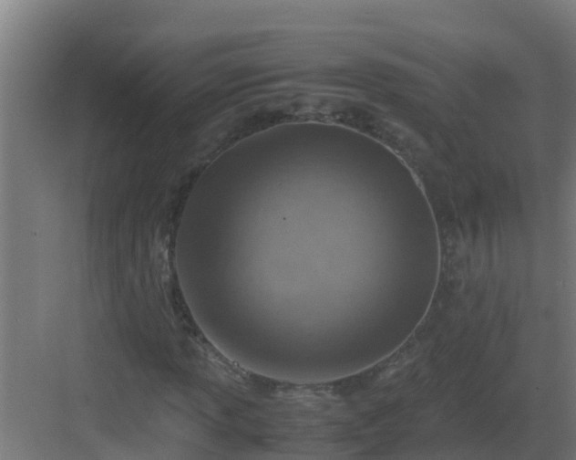 X0000082991013200702081828