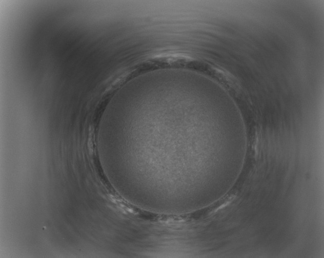 X0000082991014200702081828