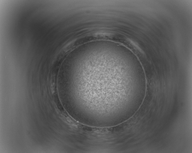 X0000082991015200702081828