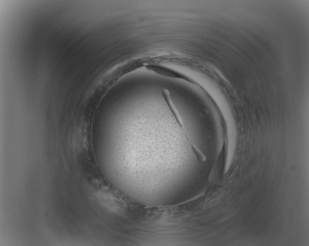 X0000082991016200702081828