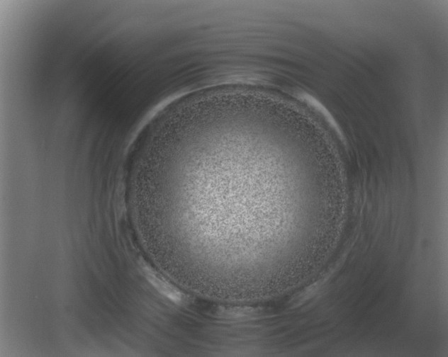 X0000082991019200702081829