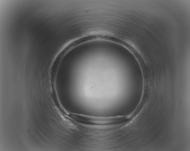 X0000082991022200702081829