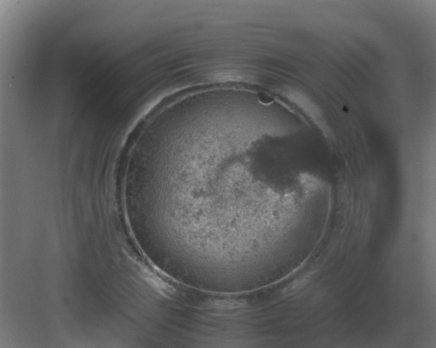 X0000082991023200702081829