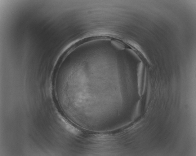 X0000082991024200702081829