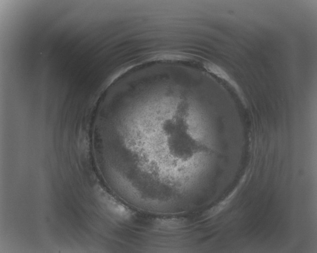 X0000082991025200702081829