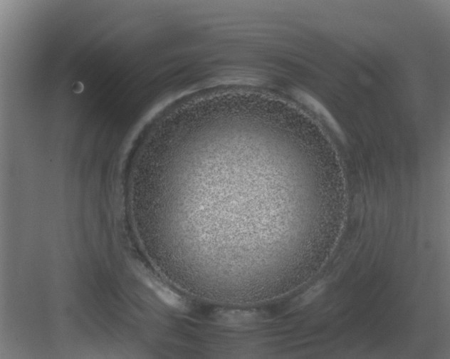 X0000082991027200702081829