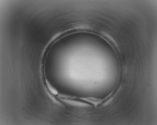 X0000082991029200702081829