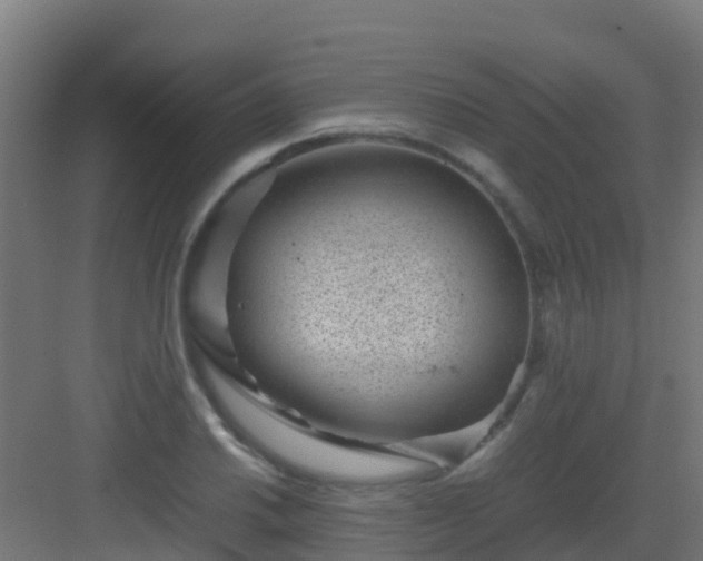 X0000082991030200702081829