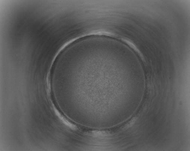 X0000082991032200702081829